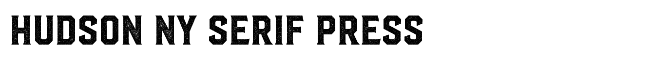 Hudson NY Serif Press image